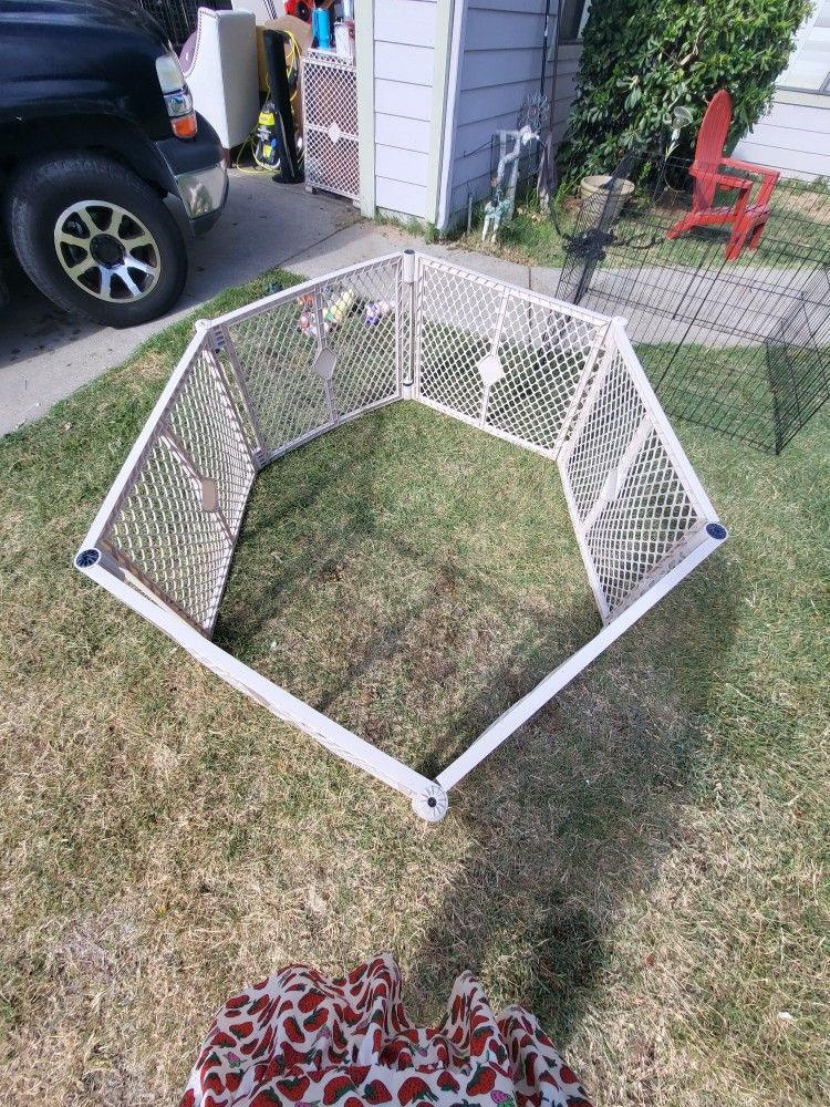 Exercise Pen
