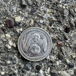 2020 Rare Bat Coin 