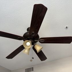 Ceiling fan With Lights- Hampton Bay-Gently Used