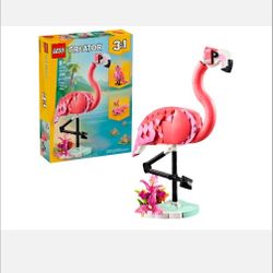 Wild Animals: Pink Flamingo