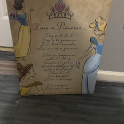Disney princess Wall Art 