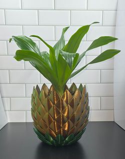 ✨ Statement Plant in Custom 3D Printed Pineapple Planter ✨
Beautiful full dracaena houseplant in a unique metallic pineapple planter 🌿🍍