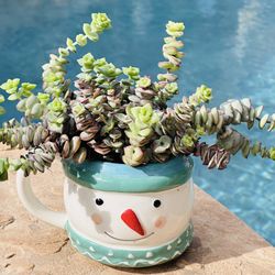 Ceramic Mug Snow Man With Succulents 