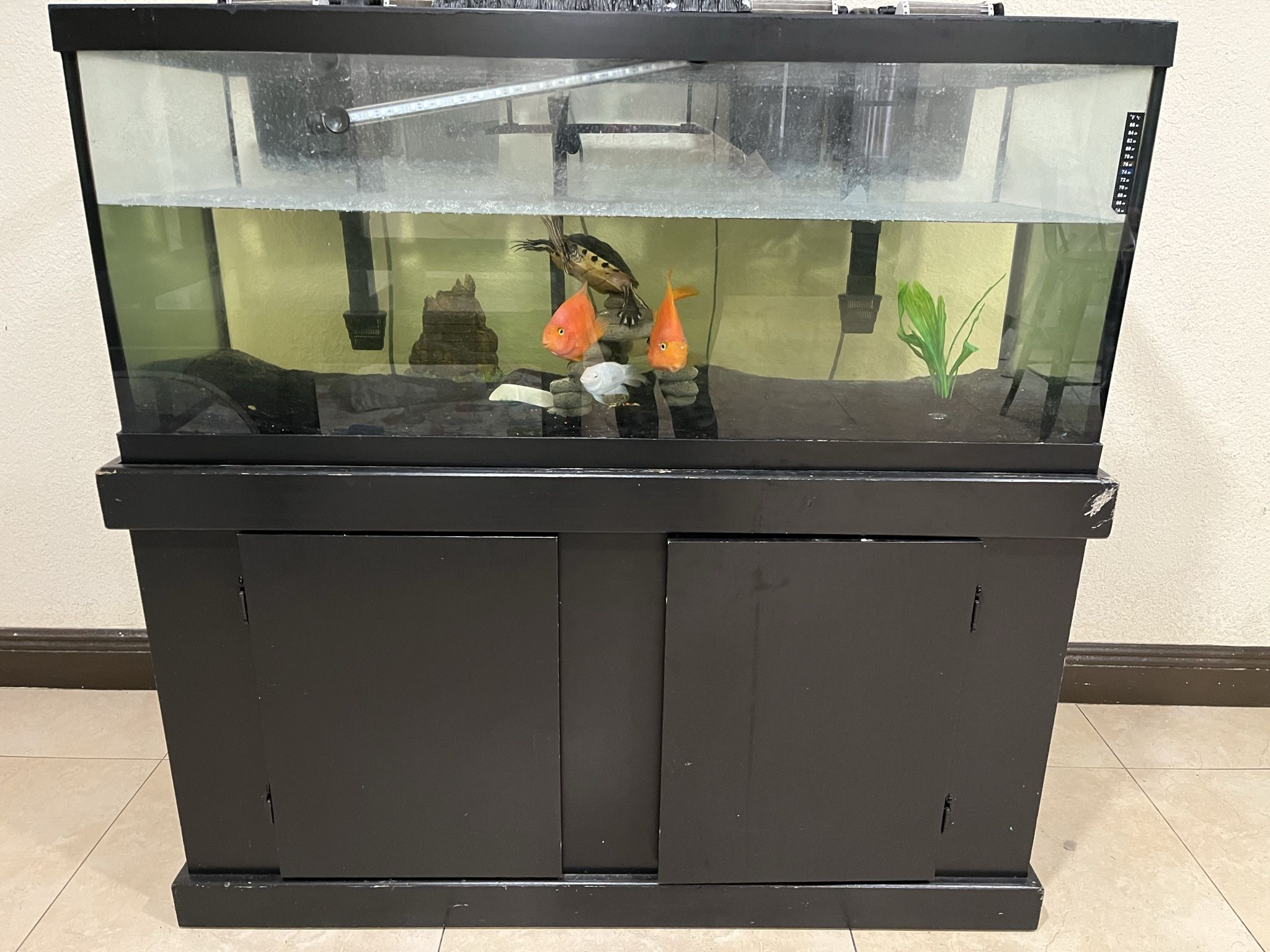 Fish Tank for Sale in Miami Gardens, FL OfferUp