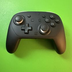 Nintendo Switch 2 Pro Controller