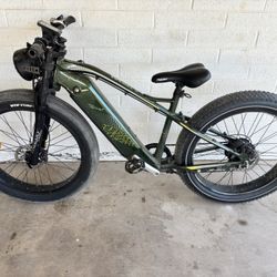 Freesky E-bike