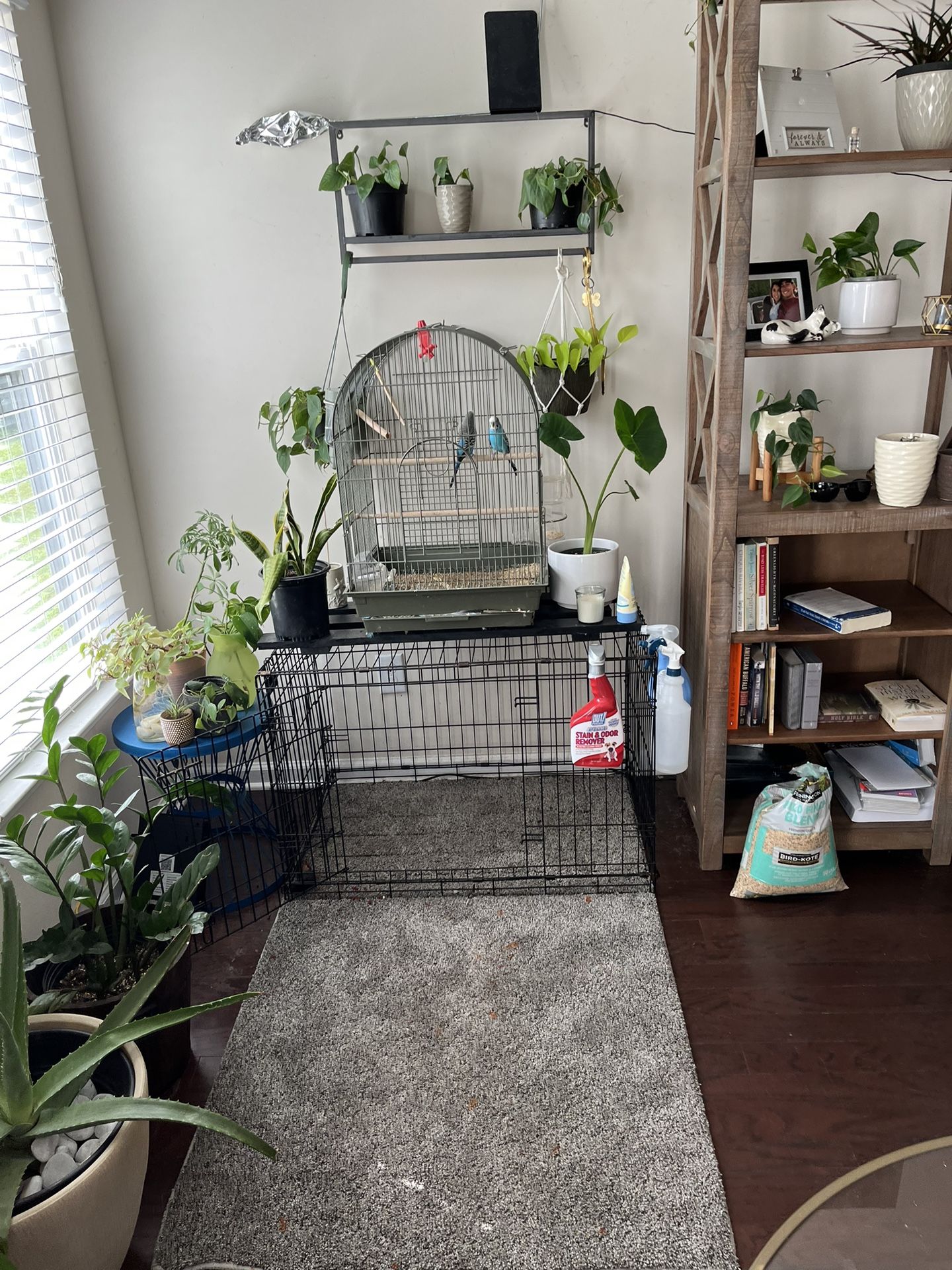 Bird Cage