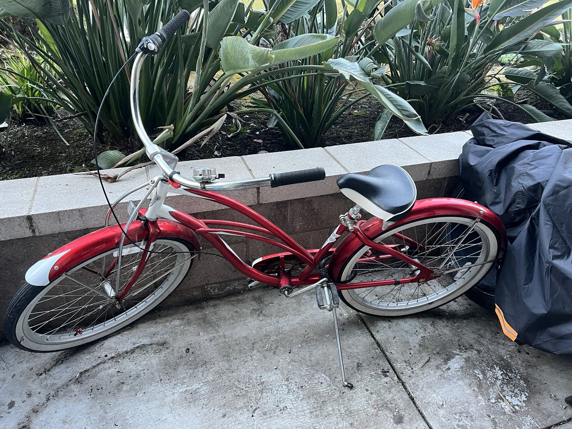 Beach Cruiser 