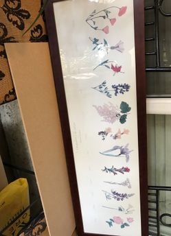 Wildflowers of the state of California monterey county