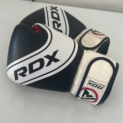 Kids Boxing Gloves 