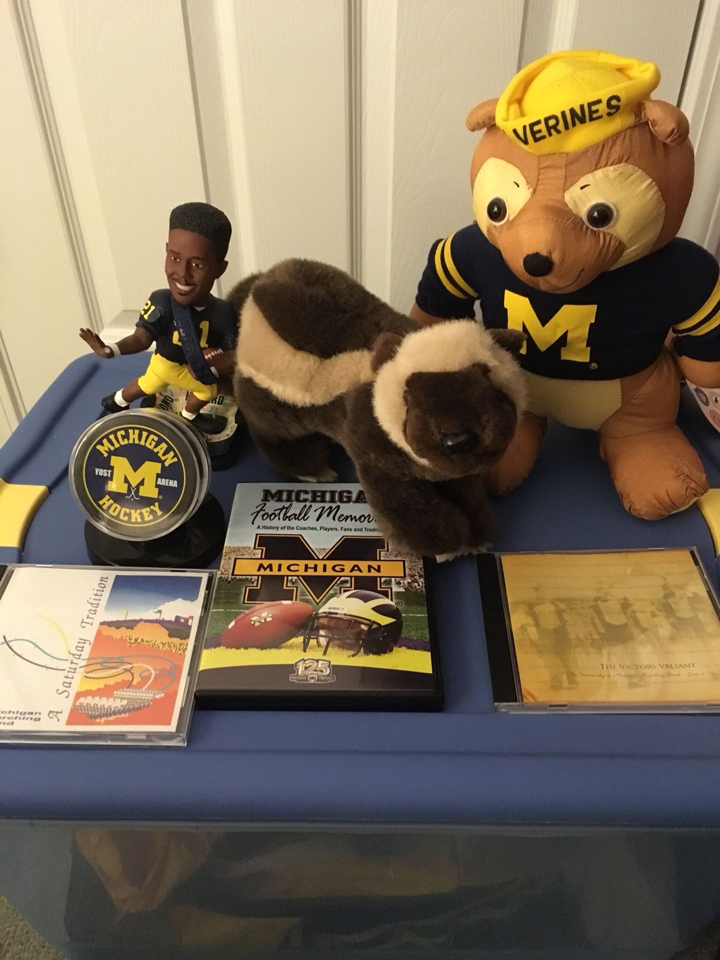 Michigan Wolverines Souvenirs