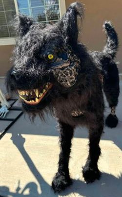 Zombie Dog Wolf