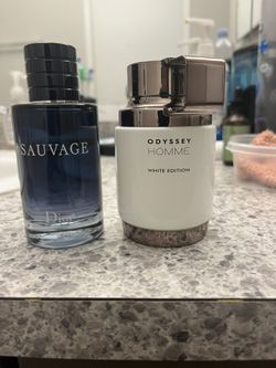 Dior Sauvage Armaf Odyssey