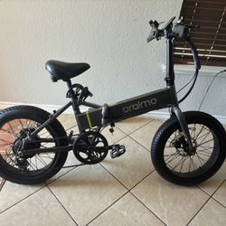 E Bike 