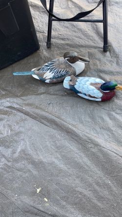 Wooden-Like Duck Pair