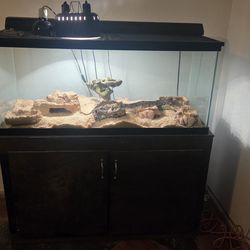 Ball Python w/ 55gal tank, lights and strand