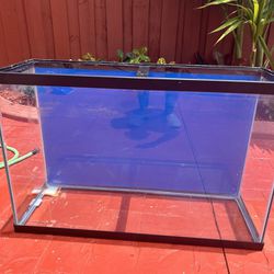 47 Gallon Aquarium Fish Tank