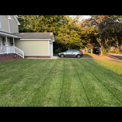 Grass