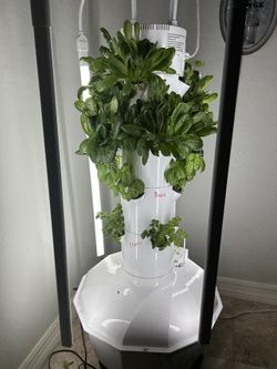 Juice plus tower garden Indoor With Lights
