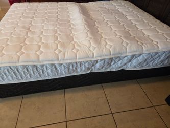 Free used queen mattress and box spring