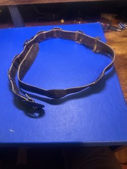 Leather Concho Belt with Silver Conchos