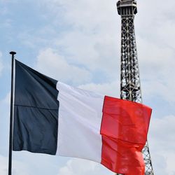 🇫🇷French lessons