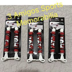 San Francisco 49ers Ambassador Hood/Trunk Car Flags