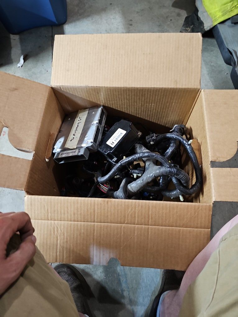 Mustang Conplete Wiring Harness And Computers