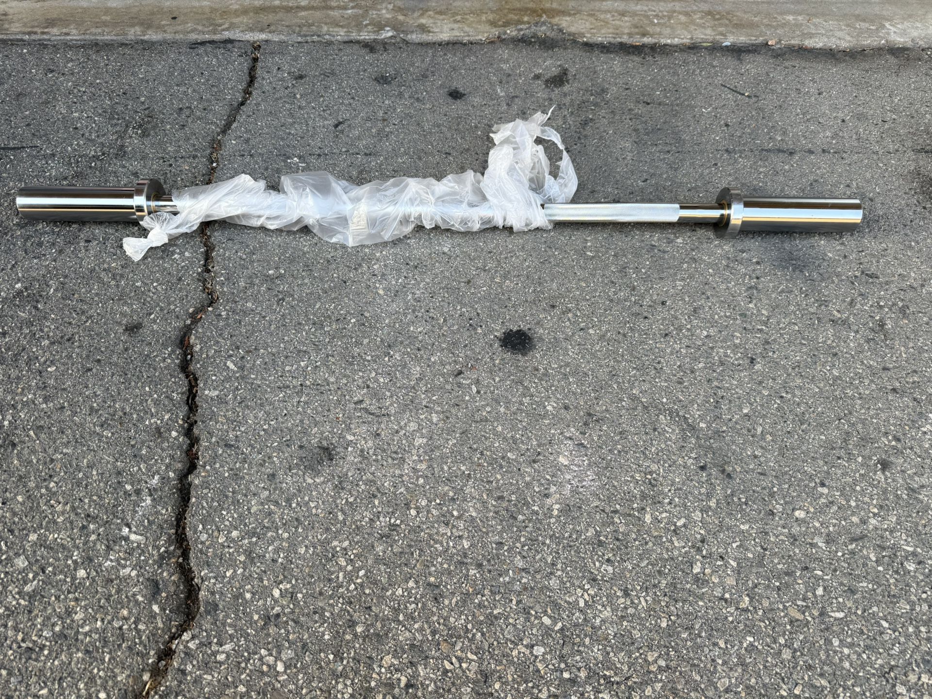 Olympic Curl Bar