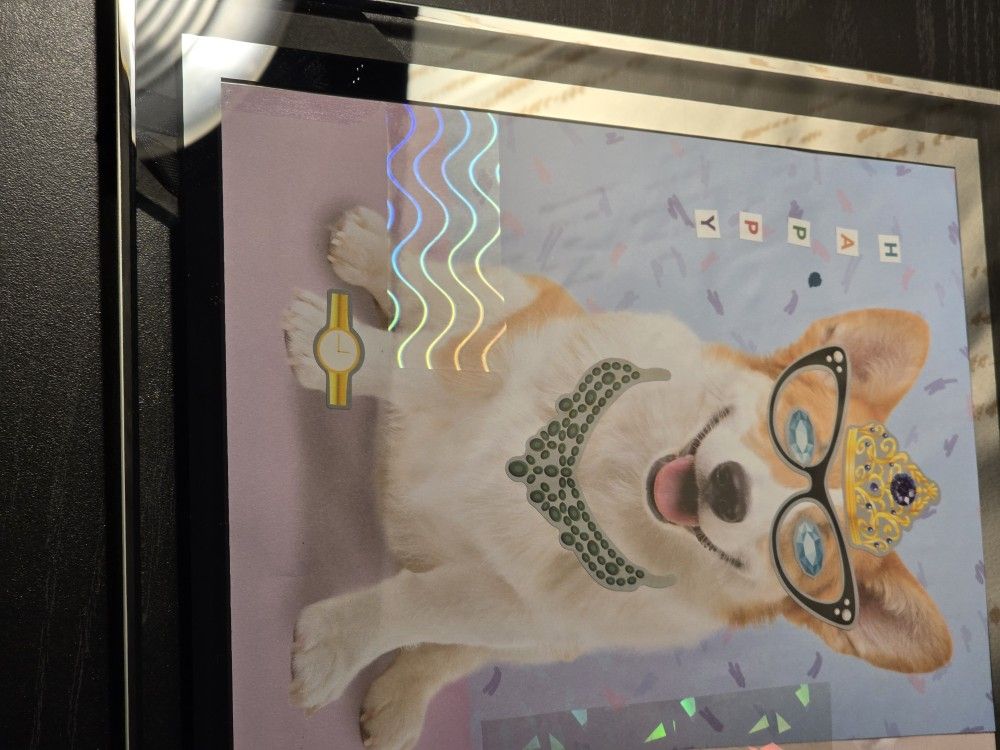 Glass Pet PICTURES