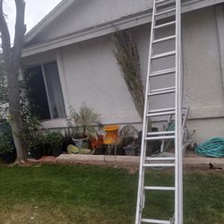 24   LADDER 