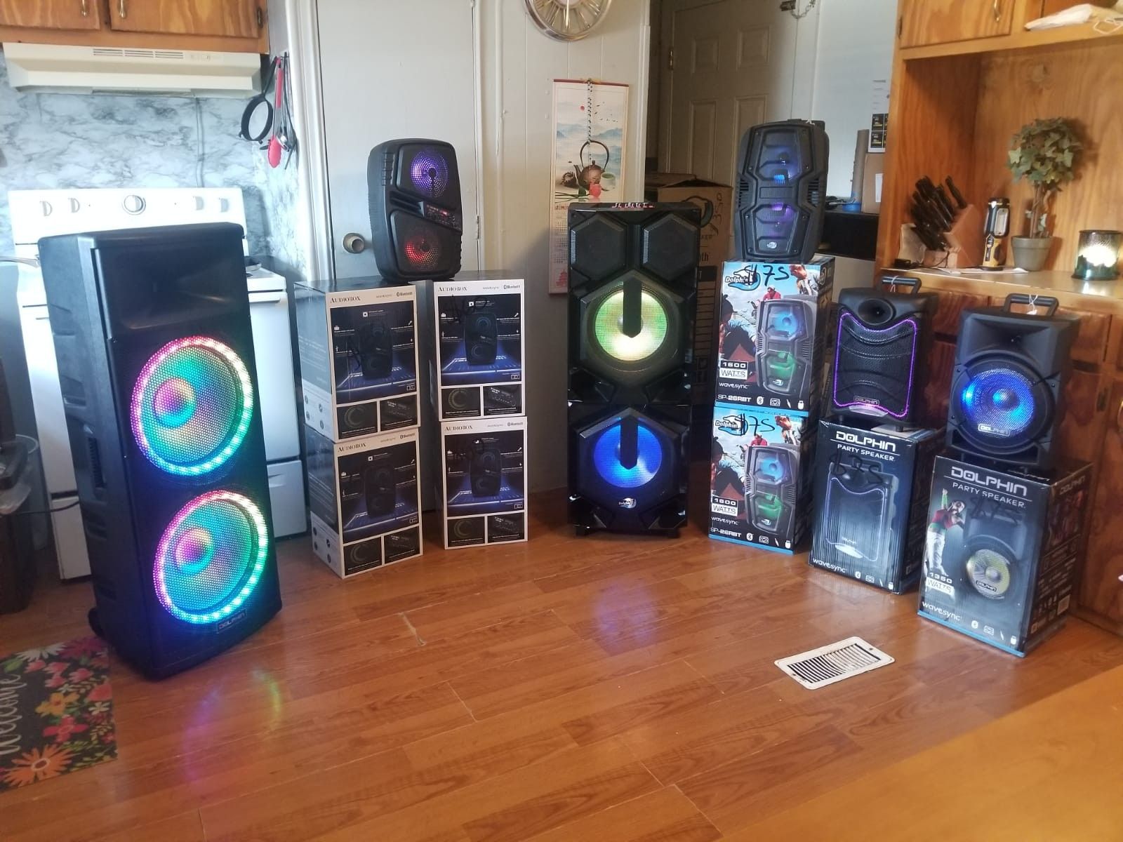 Kareoke speakers