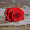 Magdy