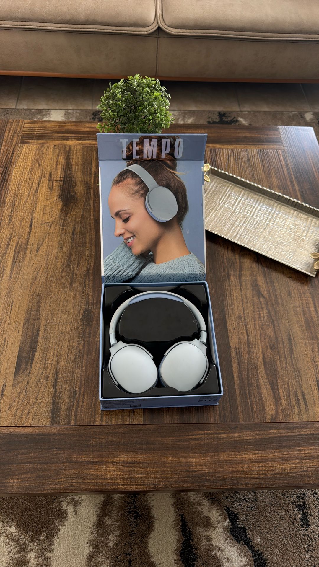 Temp Headphones