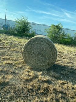 Hay Bales