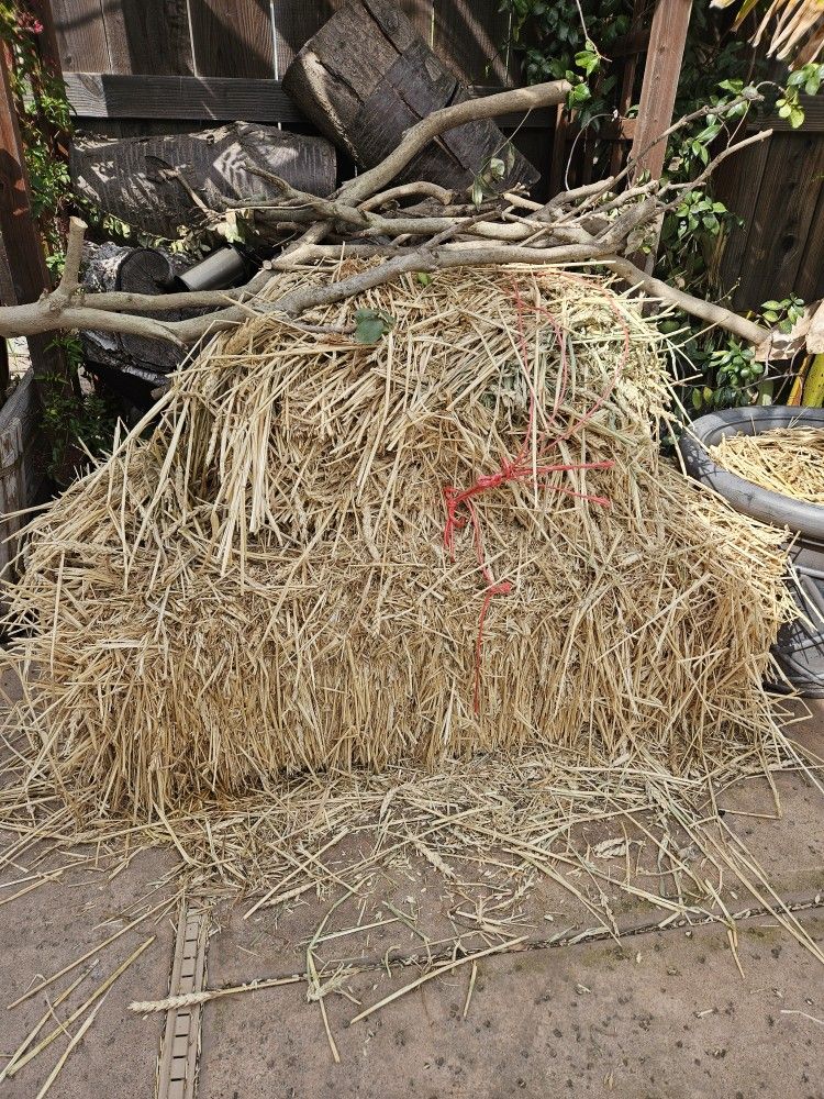Hay