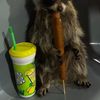 Raccoon 0