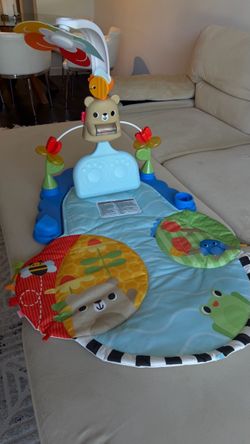 Baby Activity Play Mat with Toy Arch