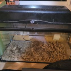 Terrarium With Day/night Lamp