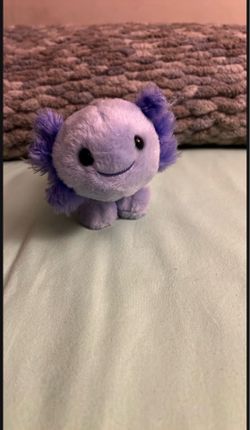 Stuff Animals