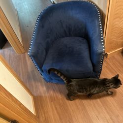 Blue Chair with Rivets 