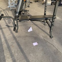 Weight Bench 