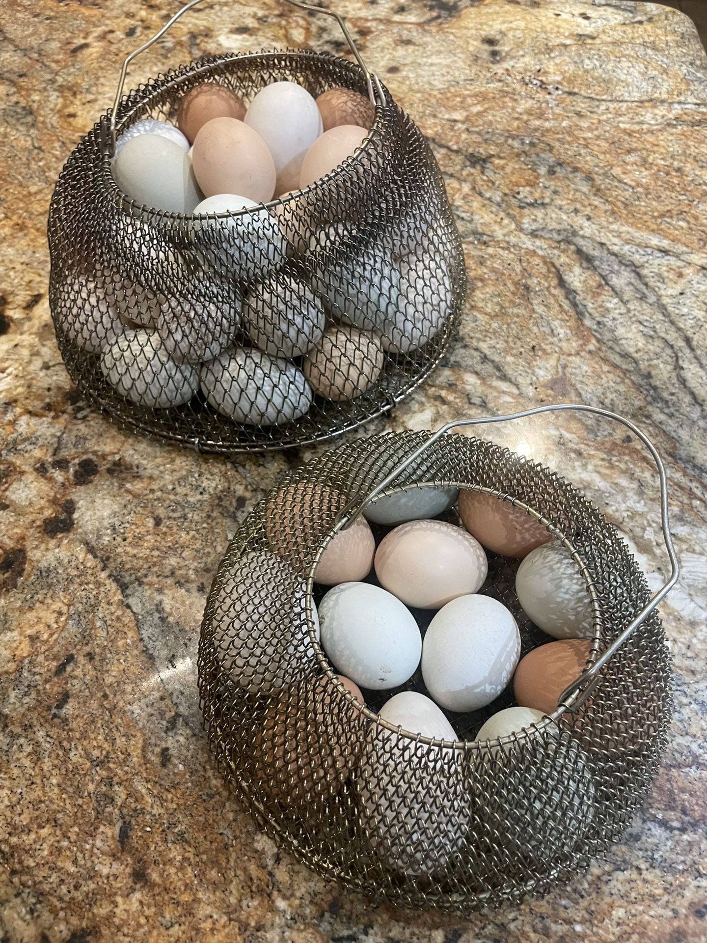 Fresh Eggs