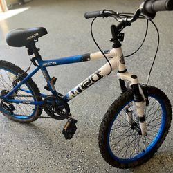 BCA 20” MT20 Mountain Boy’s Bike