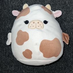 Squishmallow 