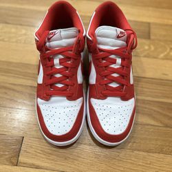 Nike dunk low SP 2023
