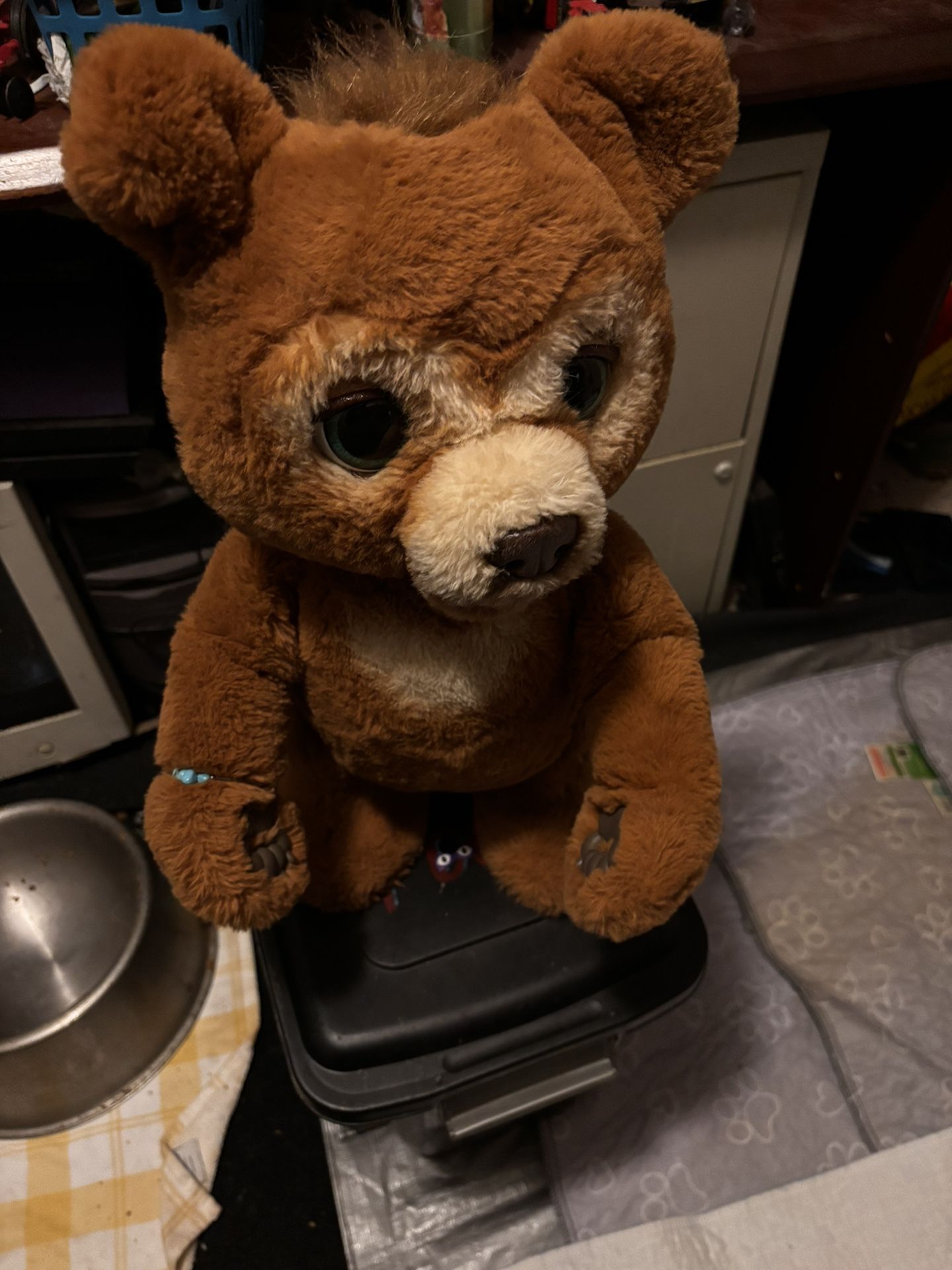 Fur Real Bear Works Great In Perfect Shape 100$or Best Offer