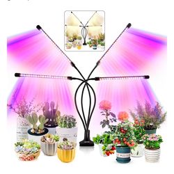 Grow Light for Indoor Plants