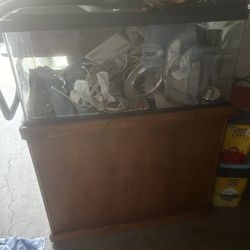 40 gallon Tank 