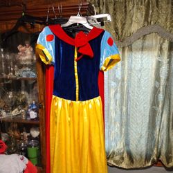 Snow White Dress Large
